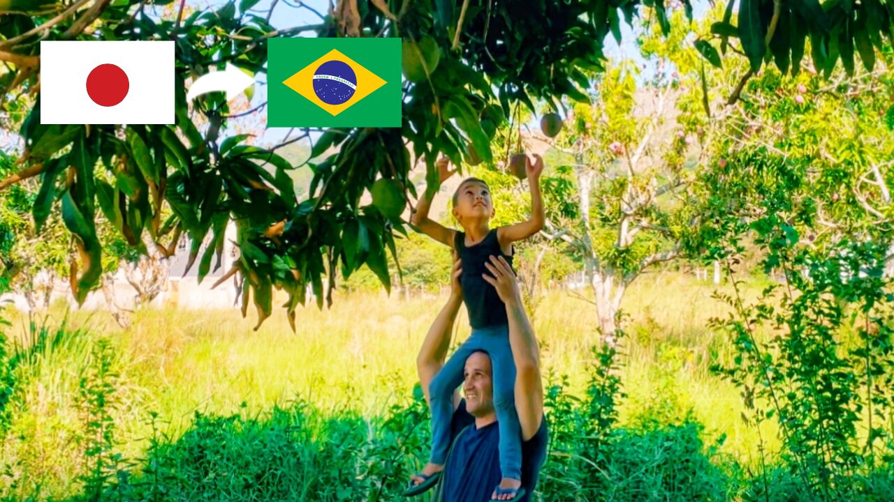 Brazil_country_living